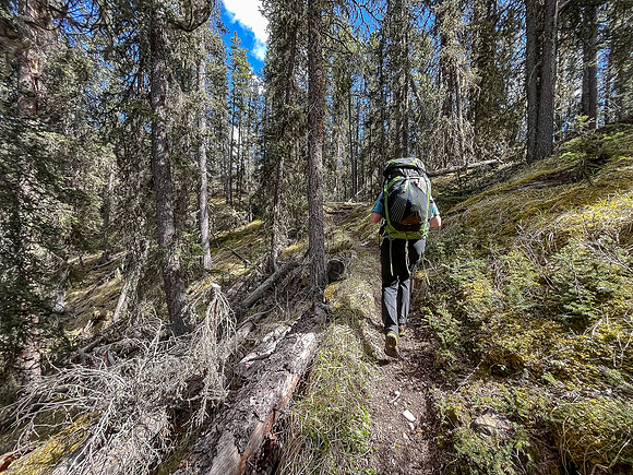 Hiking the Clearwater Trail from Indianhead Lodge to Malloch Meadows.