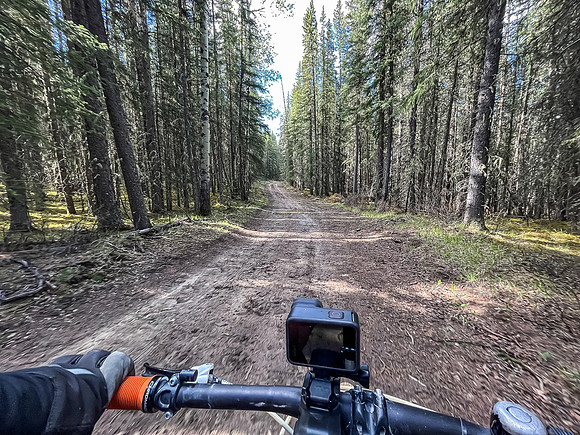 Biking the North Cutoff Creek Trail.