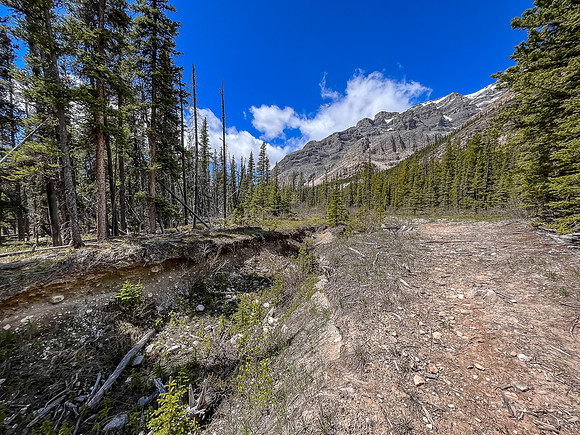 Biking the Clearwater Trail under Lost Guide Peak. The final stretch of cutline is heavily damaged.