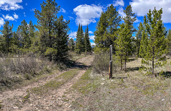 Biking the Clearwater Trail towards Harrison Flats. At the Lost Guide Lake junction.
