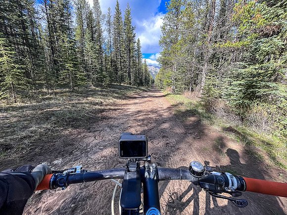 Biking the North Cutoff Creek Trail.