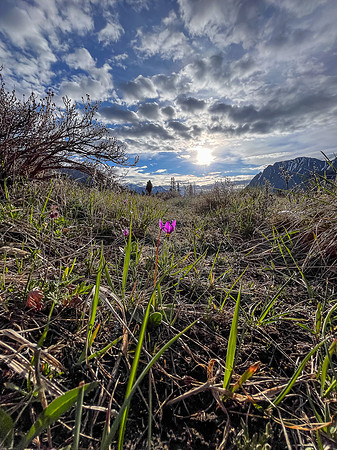 Hiking the Clearwater Trail from Trident Lake to Malloch Creek. Malloch Meadows.
