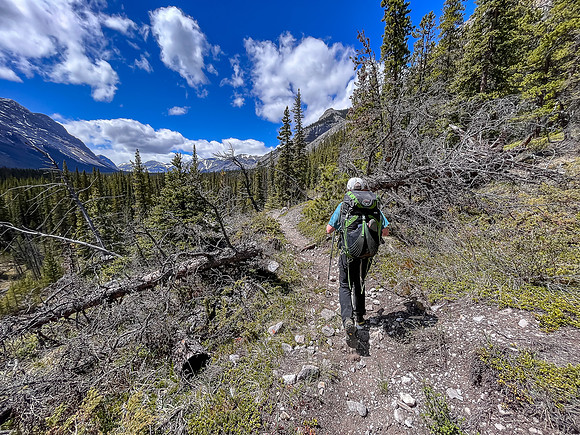 Hiking the Clearwater Trail between Lost Guide Peak and Indianhead Lodge.
