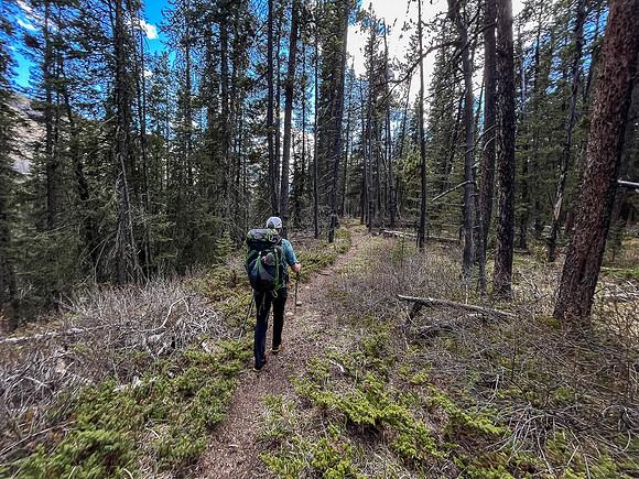 Hiking the Clearwater Trail from Indianhead Lodge to Malloch Meadows.