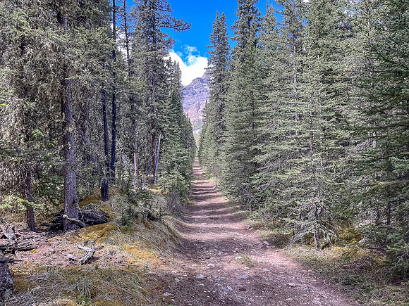 Biking the Clearwater Trail under Lost Guide Peak.