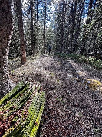 Hiking the Clearwater Trail from Malloch Meadows to Trident Lake.