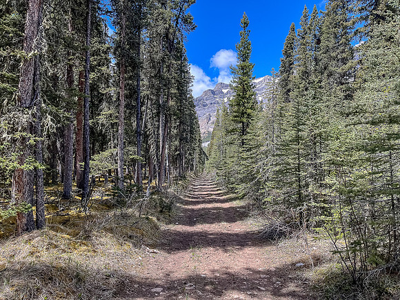 Biking the Clearwater Trail under Lost Guide Peak.