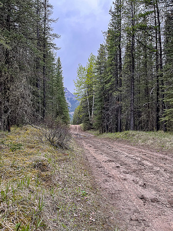 Biking the North Cutoff Creek Trail to the staging area.