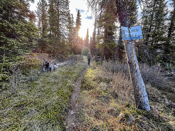 Hiking the Clearwater Trail from Malloch Creek to Lost Guide Creek.