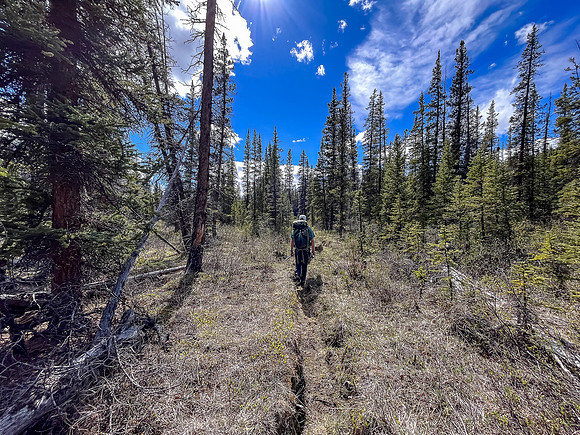 Hiking the Clearwater Trail from Indianhead Lodge to Malloch Meadows.