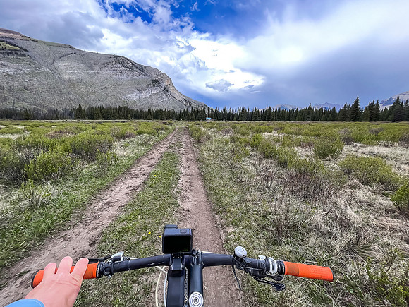 Biking the Clearwater Trail through the Forty Mile Meadows.