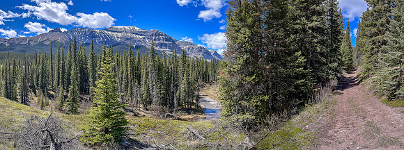 There are many scenic sections of trail including this one overlooking a small tributary and Forbidden Peak.