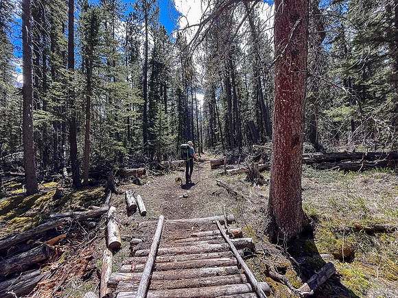 Hiking the Clearwater Trail between Lost Guide Peak and Indianhead Lodge.