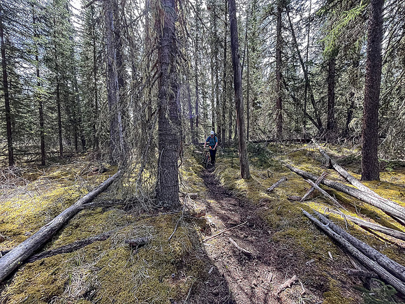Navigating around two crossings of the Clearwater River to avoid a deep, fast channel.