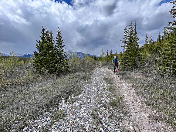 Biking the Clearwater Trail from Lost Guide to Forty Mile Meadows.