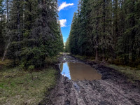 Biking the North Cutoff Creek Trail.