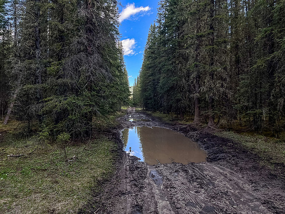 Biking the North Cutoff Creek Trail.