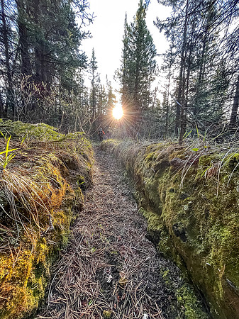 Hiking the Clearwater Trail from Trident Lake to Malloch Creek.