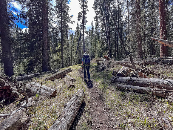 Hiking the Clearwater Trail between Lost Guide Peak and Indianhead Lodge.