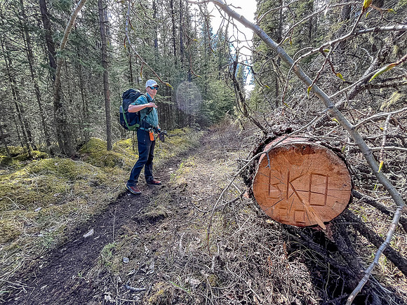 Hiking the Clearwater Trail between Lost Guide Peak and Indianhead Lodge.