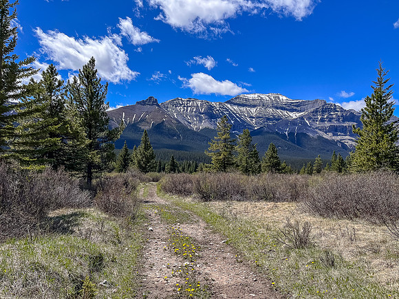 Biking the Clearwater Trail towards Harrison Flats. Forbidden Peak in the bg.