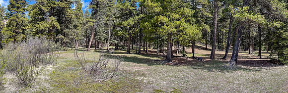 Biking the Clearwater Trail towards Harrison Flats. A horse camp along the way.