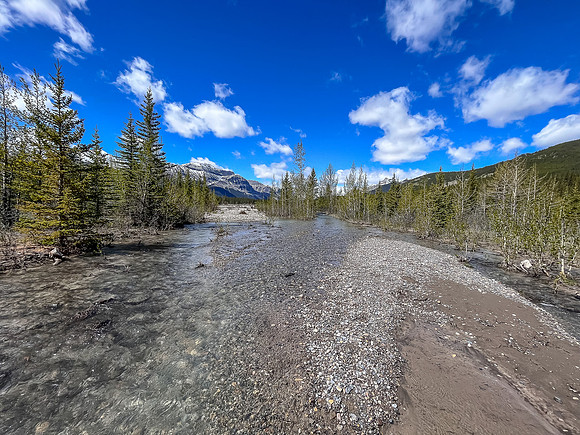The Clearwater Trail is covered in running water.