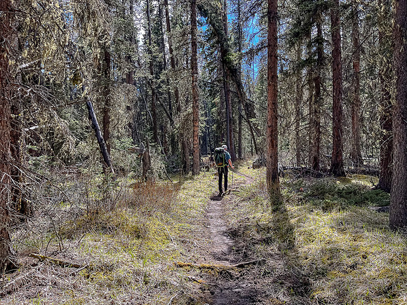 Hiking the Clearwater Trail between Lost Guide Peak and Indianhead Lodge.