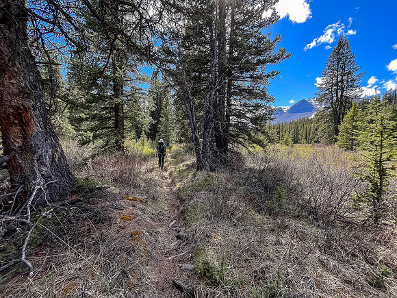 Hiking the Clearwater Trail from Indianhead Lodge to Malloch Meadows.