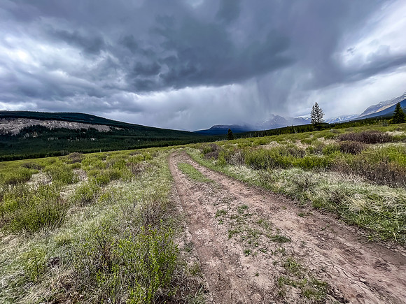 Biking the Clearwater Trail through the Forty Mile Meadows. Rain is coming!