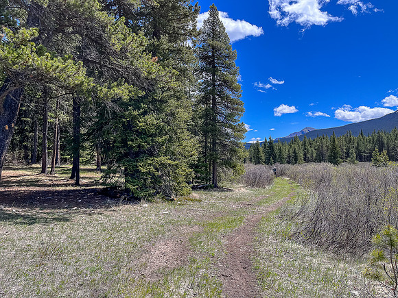 Biking the Clearwater Trail towards Harrison Flats.