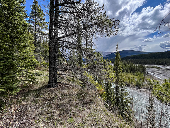 Navigating around two crossings of the Clearwater River to avoid a deep, fast channel.