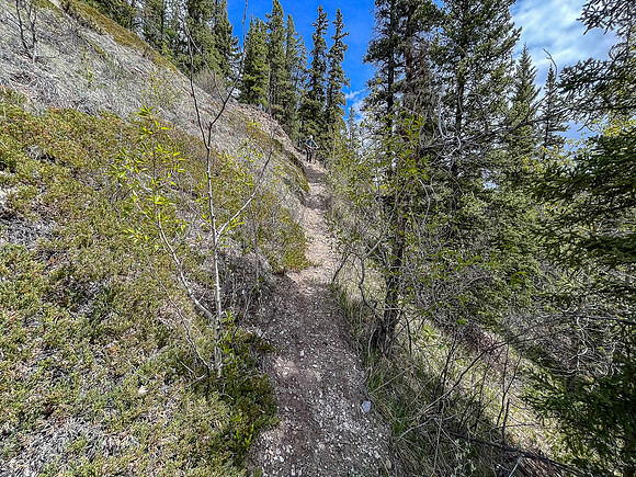 Navigating around two crossings of the Clearwater River to avoid a deep, fast channel.