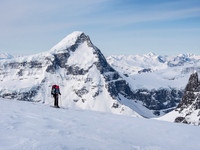 Raf's team skis beside us in the early morning light. Mount Columbia is unreachable across the Trench