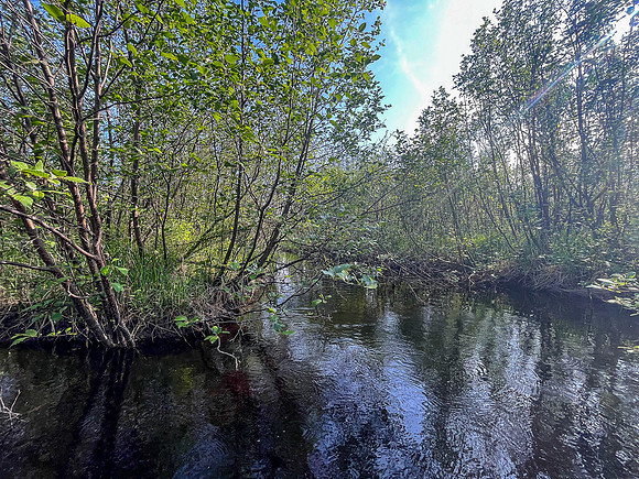 Traveling a small stream out of North Prairie towards Joey Lake.