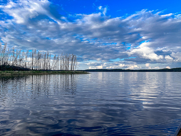Joey Lake.