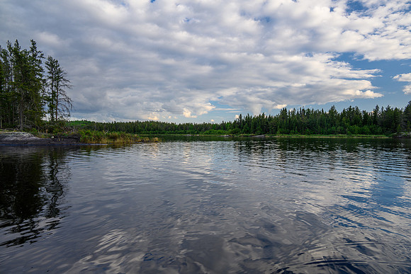 Joey Lake.