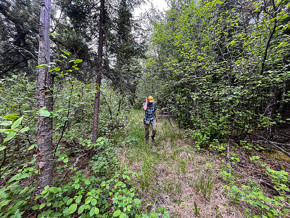 Portaging 500m between North Prairie and Joey Lake.
