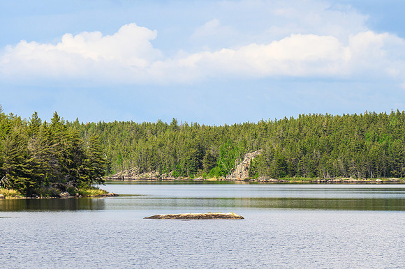 Joey Lake.