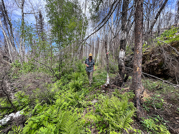 Portaging between Crystal and Indian House Lake.