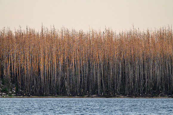 Crystal Lake.