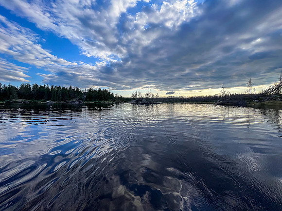 Joey Lake.