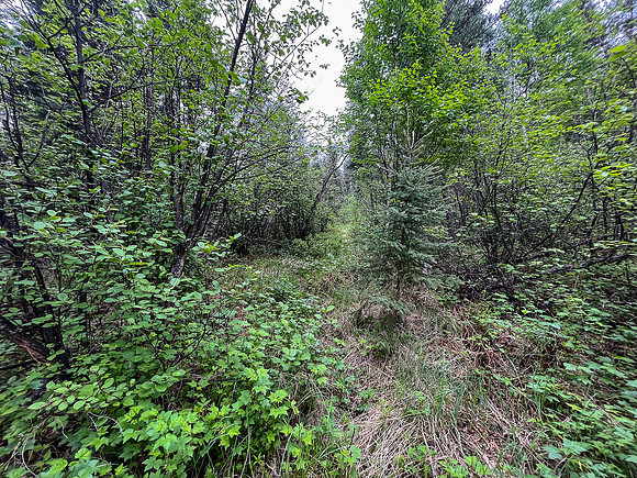 Portaging 500m between North Prairie and Joey Lake.