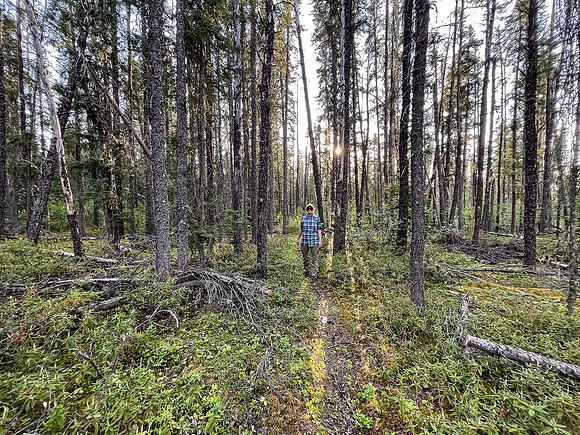 The 950m portage from Indian House to North Prairie Lake.