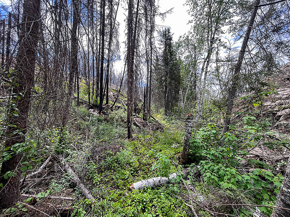 Portaging between Crystal and Indian House Lake.