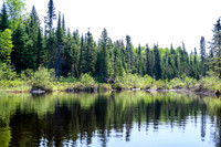 Paddling Douglas Creek.