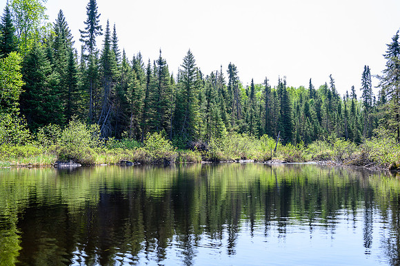Paddling Douglas Creek.
