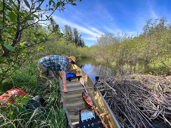 Traveling a small stream out of North Prairie towards Joey Lake.