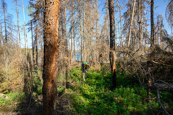 Portage between Hatchet and Peterson Lake.