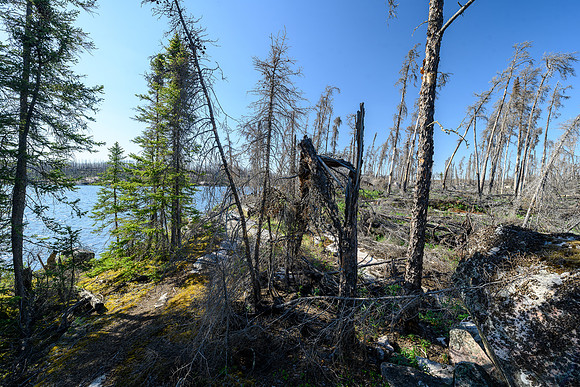 Crystal Lake camp.